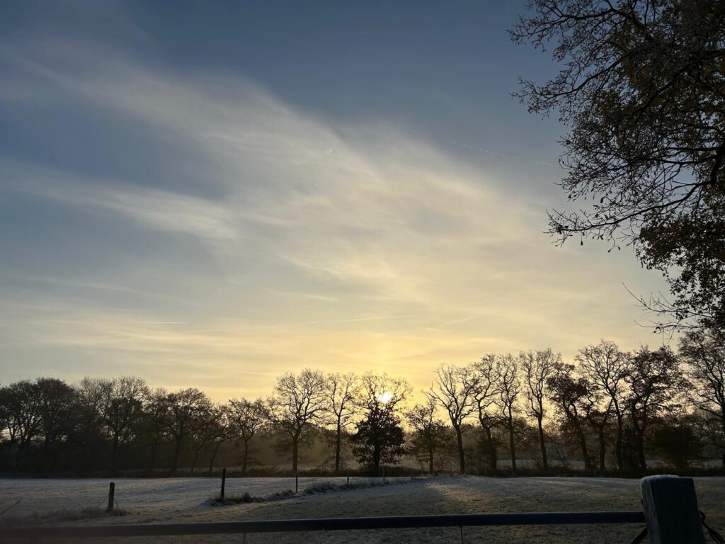 Weiter Himmel über einer Baumreihe bei Sonnenaufgang
